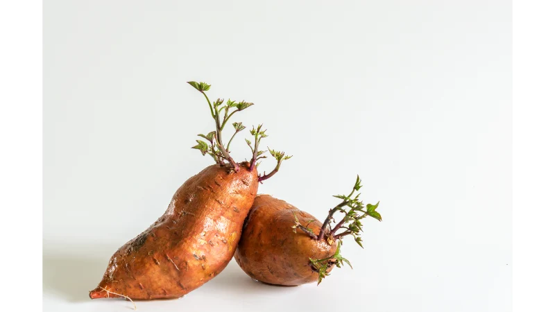 Why Is Sweet Potato a Superfood?